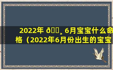 2022年 🕸 6月宝宝什么命格（2022年6月份出生的宝宝什么命）